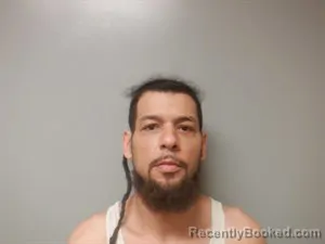 Booking photo from Craighead County, Arkansas