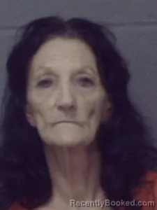 Mugshot of Vickie Lynn Dubois