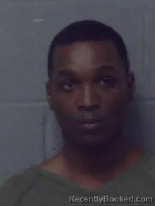 Mugshot of Cameron Williams