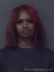 Booking photo from Crittenden County, Arkansas