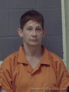 Mugshot of Holly M Harris