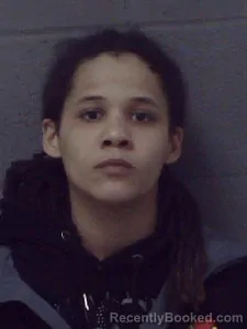 Booking photo from Crittenden County, Arkansas