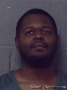 Mugshot of Raidah Ladelle Smith