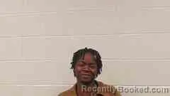 Mugshot of MARILYN LIGHT