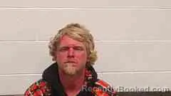 Mugshot of TERRY LOVE