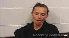 Mugshot of STEPHANIE JOHNSON