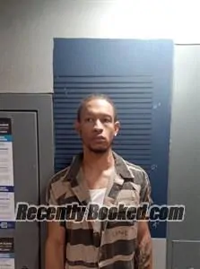 Booking photo from Dallas County, Arkansas