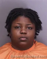 Mugshot of ASHLEY PAIGE SIMS