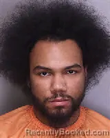 Mugshot of DANTE' BARRY ALSTON