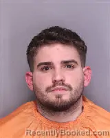 Mugshot of BRYAN REYES LAPINEL