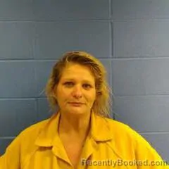 Booking photo from Faulkner County, Arkansas