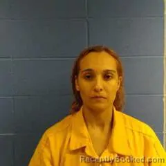 Booking photo from Faulkner County, Arkansas