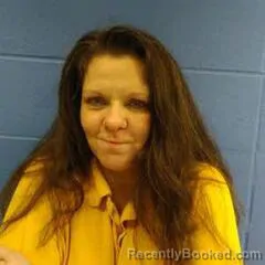 Mugshot of DONNA TURNER