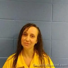 Mugshot of BRITTANY CURTIS