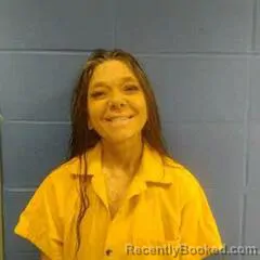 Mugshot of SARA WAHL