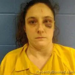 Mugshot of JAIMIE WILLIAMSON