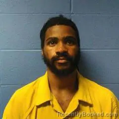 Mugshot of MARION HAMILITON