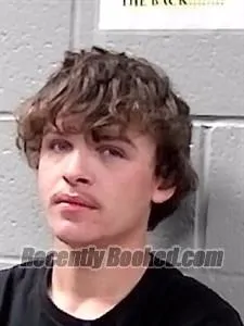 Booking photo from Franklin County, Arkansas