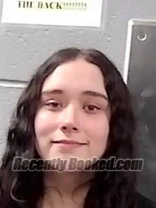 Booking photo from Franklin County, Arkansas