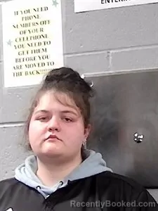 Booking photo from Franklin County, Arkansas