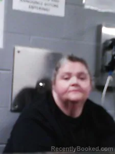 Mugshot of Mindy Raquel Mcghee