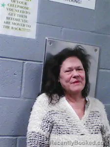 Mugshot of Monica Sue Ellis