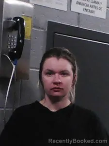 Mugshot of Amy Alyssa Lindsey