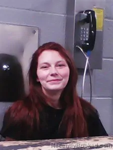 Mugshot of Sarah De-Anne Petty