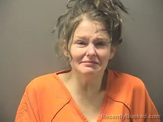 Mugshot of AMANDA COON