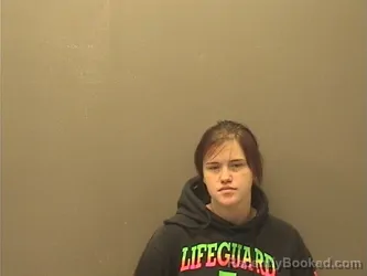 Mugshot of AMANDA ANN JOHNSON