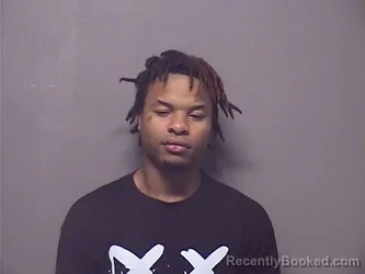 Mugshot of TERRY RAYMOND LEWIS