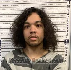 Booking photo from Greene County, Arkansas