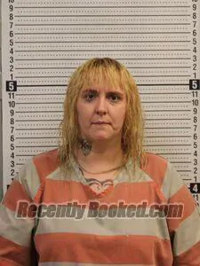 Booking photo from Greene County, Arkansas