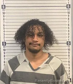 Booking photo from Greene County, Arkansas