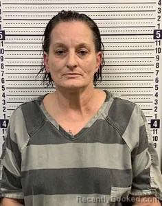 Mugshot of CRISTA COOK