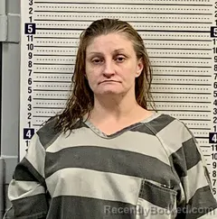 Mugshot of LEEANN HAMILTON