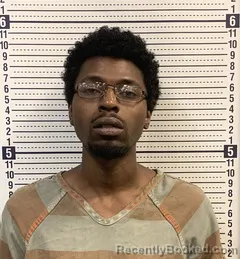 Booking photo from Greene County, Arkansas