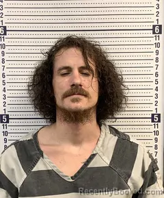 Booking photo from Greene County, Arkansas