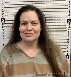 Mugshot of AMANDA HUDSON