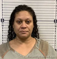 Mugshot of TARA HOOKS