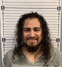 Mugshot of PEDRO RAMIREZ