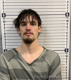 Booking photo from Greene County, Arkansas