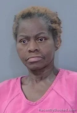 Mugshot of Paula Michelle Tisdale