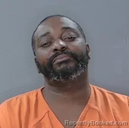 Mugshot of Averill J Nelson