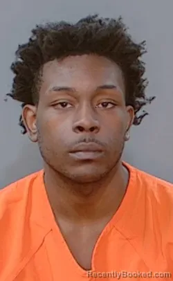 Mugshot of Andre Malik Mcgill
