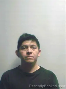 Mugshot of Bonaygre SOCORRO FIGUEROA