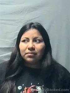 Booking photo from Independence County, Arkansas