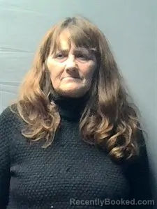 Mugshot of Venus Ann Donahue