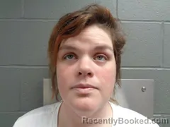 Booking photo from Izard County, Arkansas