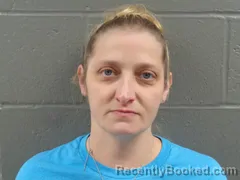 Mugshot of SHEILA STETKA